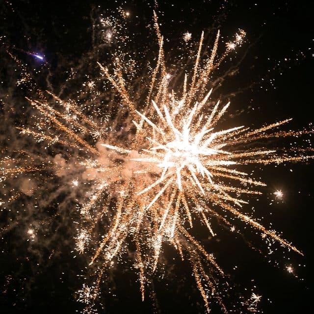 A golden firework bursting in the night sky