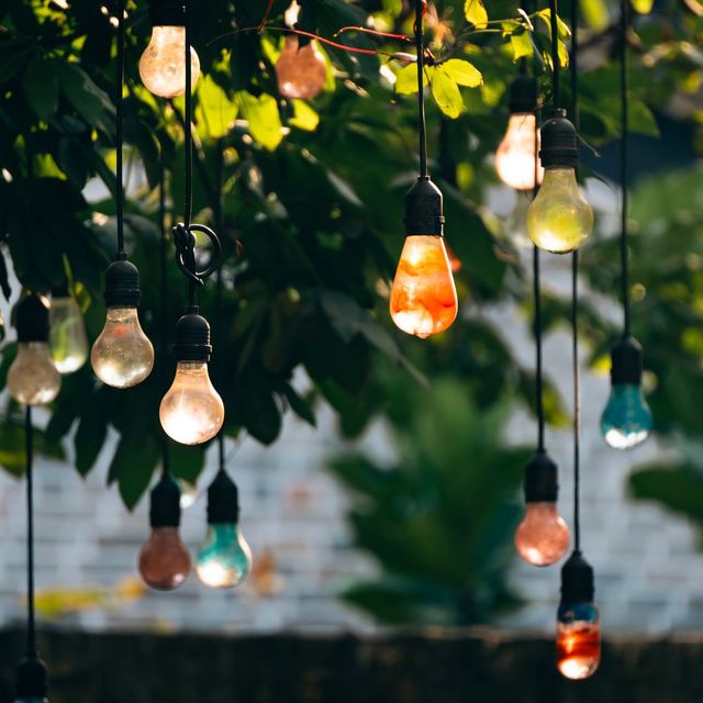 Edison bulbs strung through green leaves